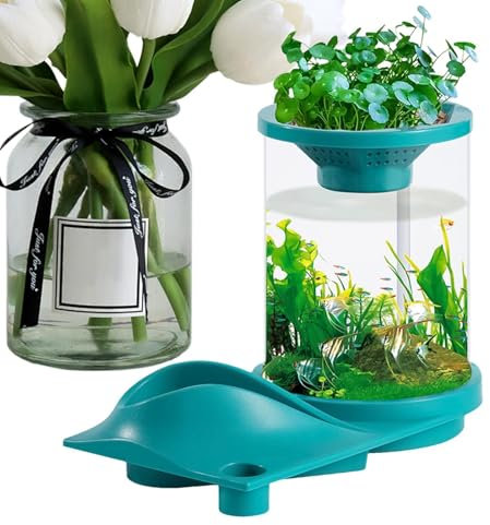 Paodduk Kleines Aquarium, Aquarium für Wassertiere | Durchscheinendes stilles Aquarium,Selbsterhaltendes Aquarium mit Aquarium-Aquaponik-Ökosystem für Fischgeschäft, Zuhause, Arbeitsplatz, Wohnung