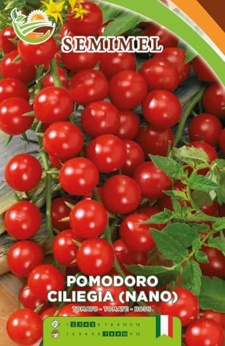 Pomodoro Nano Ciliegia - Frutti Sodi e Gustosi, Pianta Vigorosa da Campo e Serra2 confezioni