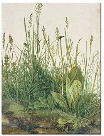 WANDKINGS Leinwandbild Das große Rasenstück von Albrecht Dürer / 30 x 40 cm/auf Keilrahmen