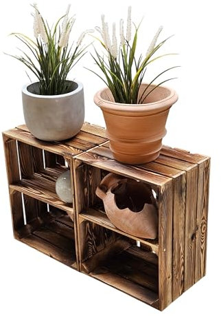 Teramico 2er SetObstkisten/Weinkisten/Holzkisten 50 x 40 x 30cm mit Zwischenböden Geflammt- Zum Möbelbau -massiv und stabil-