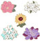 Lusofie 5 Pièces Broche Florale Femmes Email Epinglettes Mignon Fleur Badge Broches pour Femmes Filles sac à dos Chapeau Costume Bijoux Accessoires