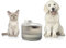 Fontaine pour Chats Rechargeable avec Détecteur Refopet InnovaGoods