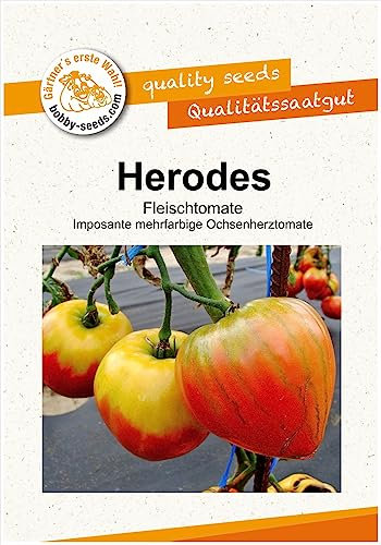 Tomatensamen Herodes Portion