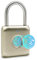 Fingerprint Padlock eLinkSmart Digital Padlock Locker Lock Metal Keyless Combination Padlock for Gym Locker, School Locker Backpack Suitcase Luggage Gold