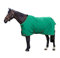 StormX Original 0 Turnout Rug 5ft Green Dark Green Yellow