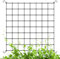 Dncvb Ranknetz, Grow Netz 60x60 cm, Gummi Wachsen Zelt Netz, Elastische Spalier Netz, Garten Pflanzennetz mit 4 Haken, Rankhilfe Netz für Gemüse Früchte Blumen, Stütze der Zeltanlage für Gartenn