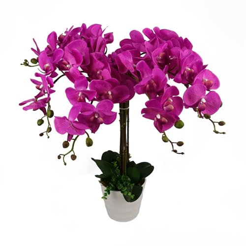 Realistic Artificial Orchid Plants Fully Potted