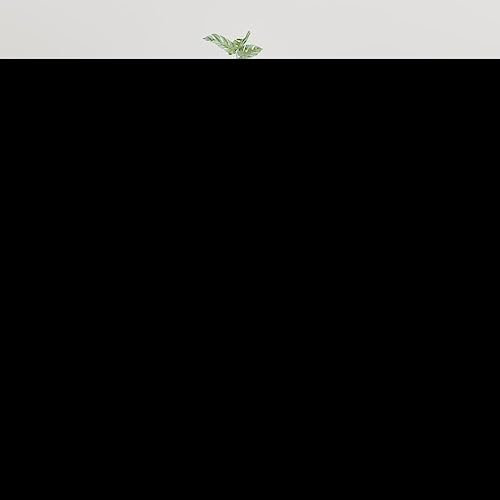 LLEZKBR Meuble TV mural blanc brillant 40 x 34,5 x 80 cm