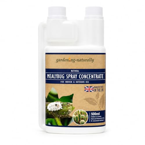 Mealybug Spray for Indoor & Outdoor Plants with Seaweed Extract – Ready to Use Plant Spray or Concentrate for Houseplants, Cacti & Succulents – UK Made (500ml Spray Concentrate)