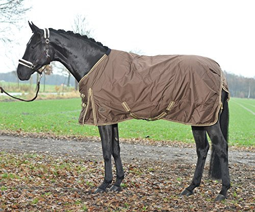 BUSSE Paddockdecke MOVE WINTER