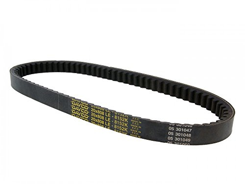 Dayco 8152K Power Plus Keilriemen Kevlar Verstärkt, L808 X B20.0