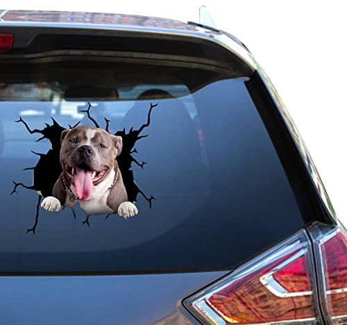 American Bully Dogs Decals American Bully Car Stickers Kawaii Bumper Trucking Sticker for Dad Funny Jokes 3D Race
