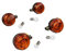 VEBCO Set: 4 Blinker rund in Schwarz mit orangenem Glas + 12V Lampen - für Simson S50, S51, S70, SR50, SR80, MZ ETZ, TS