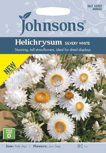 Johnsons Helichrysum Silvery White, Flower Seeds, Sow: Feb-Apr, Flowers: Jun-Sep