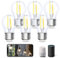 Aigostar Alexa Glühbirne E27， Smart LED Vintage Lampe， Smarte Glühbirne G45 Transparent Globe， 4.5W 470LM， Warmweiß Dimmbar 2700K -6500K， Kompatibel mit Alexa und Google Home， 6 Stücke