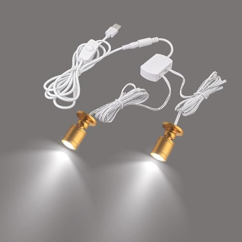 FSLiving Mini Aluminium LED Einbaustrahler, 2 stk Gold Minispot Einbauleuchte mit Transformer, kühles Weiß für Schrank, Flur, Galerien, Geschäfte, Schmuckschrank -1 Watts