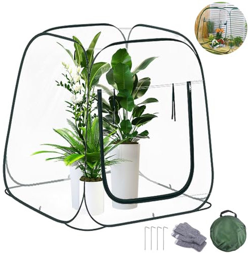 TOPRUNYI Petite serre, tente d'hivernage pour plantes, 98 x 98 x 98 cm, transparente, pas de montage nécessaire, serre d'hiver pour légumes et fleurs