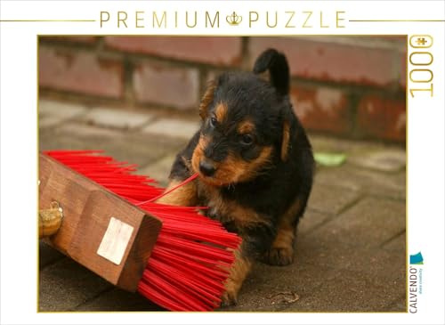 CALVENDO Puzzle EIN Motiv aus dem Kalender Airedale Terrier Welpen | 1000 Teile Lege-Größe 64 x 48 cm Foto-Puzzle für glückliche Stunden