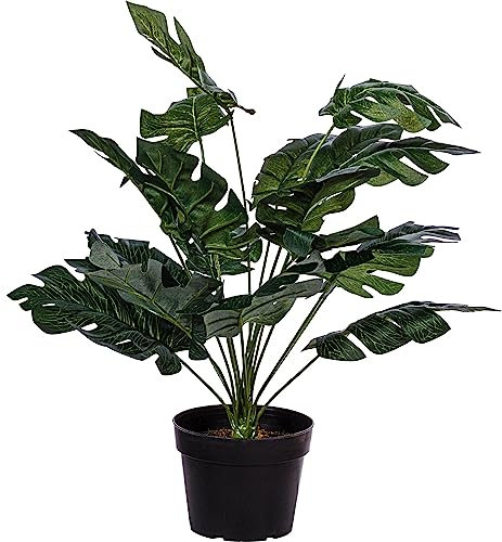 PLANTASIA Kunstpflanze Monstera 60 cm
