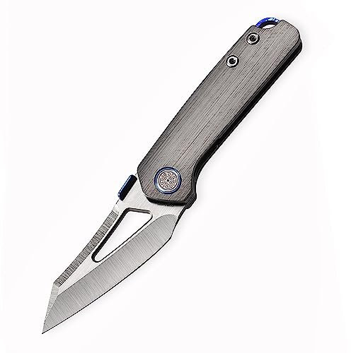 Cavol Denka Klappmesser Daumenschraubenmesser Thumb Stud Knife,66mm M390 Taschenmesser Klappmesser,Titan Griff Klappmesser Folding Knife,70.2g leichtes EDC Messer (grau)