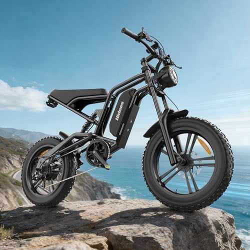 Hidoes B6 Electric Bike for Adults 20''x4 Fat Tire Moutain E Bike Bicycles | 7-Speed Transmission 15.6Ah Removable Battery Dual Suspensions Oil Brake Off Road Commuting Electric Bike for Men