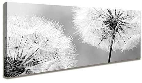 Visario 120 x 40 cm Bild Pusteblume Löwenzahn Hundeblume 5741