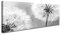 Visario 120 x 40 cm Bild Pusteblume Löwenzahn Hundeblume 5741