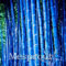 Swansgreen Lot de 50 graines de bambou bleu rares pour jardins décoratifs, plantes en bambu