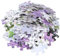 BESTonZON 1000 Teiliges Set Intelligenzpuzzle Für Kinder Großes Puzzle Berühmtes Gemälde Puzzle Papierpuzzle Lavendel