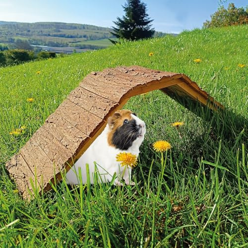 Breker Hugro® Holzbrücke für Nager – 70 cm Mahagoni Naturprodukt, extra groß, robust & Zertifiziert, ideal für Kaninchen, Meerschweinchen, Hamster, Mäuse, Degus & Reptilien
