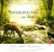 CD Natursinfonie im Wald