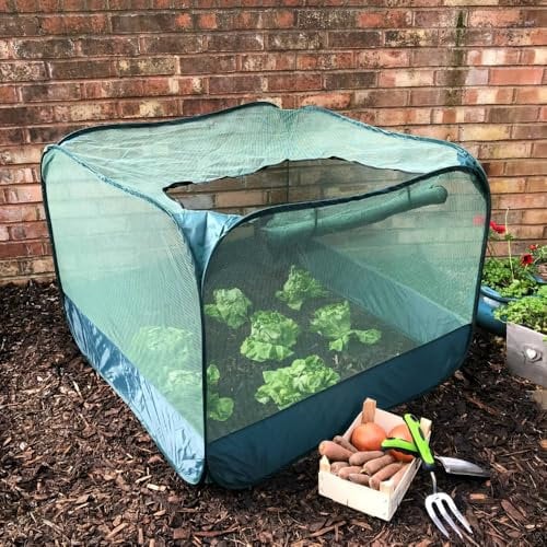 GardenSkill Pop Up Fruit and Vegetable Cage Grow-House - Plant Crop Protection Bird Net Cover Cloche (1m x 0.75m high)