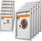 Deflecto Lot de 10 - Vitrine Porte-Affiche Clipsable en Cadre Aluminium A3 - Cadre Format A3 Aluminium - SFA3S10 - Argent