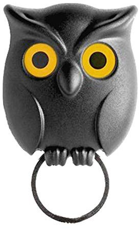 Ericetion Black Night Owl Magnetic Wall Key Holder Magnets Keep Keychains Key Hanger Hook Hanging Key