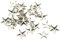Qsvbeeqj Lot de 100 rivets en forme d'étoile à cinq pointes en métal pour ceinture de sac