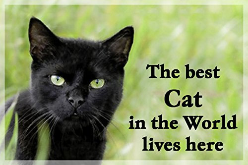 Black Cat Fridge Magnet