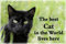 Black Cat Fridge Magnet