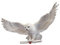 The Noble Collection Hedwig Owl Post Wall D√©COR