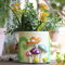 GUGUGO Macetas de Hongos Coloridas, Bonitas macetas únicas de Arco Iris con Drenaje, macetas Retro Vintage para Plantas de Interior y Exterior, decoración Moderna Bohemia para el hogar (A,5 Pulgadas)