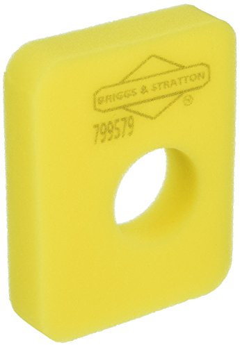 Briggs & Stratton 799579 Filtre à air, Multicolore