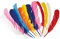 Boland 44135 - Indianer Federn farbig sortiert, 12-teiliges Set zum Basteln oder Dekorieren, DIY - Do ist yourself, Party Deko, Geburtstag, Kinderparty