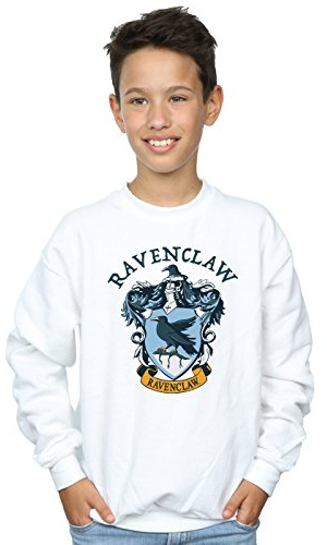 Harry Potter Boys Ravenclaw Crest Sweatshirt White 12-13 years