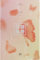 BANGTAN BOYS K-POP 4th Mini Album In The Mood For Love PT.2 [Peach Ver.] BTS Music CD + Photo Book + Photo Card + Extra Message Photocards Set