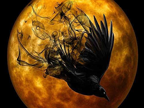 YSCOLOR Diamant Painting Abziehbild 5D DIY Diamant Malerei Schwarzer Rabe Vogel Volle Runde Bohrer Diamant Stickerei Halloween Setzt Bild Von Strass 30X40Cm