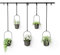 Umbra Triflora Vase, Hängeblumentopf, Wandvase, Blumenampel für Wand- und Deckenanbringung, 5er-Set, Schwarz