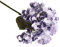 Pflanzenbild Macarons Windblume Bonsai Hochzeit Hortensie Künstliche Pflanze Künstliche Blumen Blumen Tisch (C, One Size)