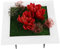 Sosoport Simulierter Pflanzenfotorahmen Künstliche Blume Gerahmte Wanddekoration Pflanzenwandrahmen Pictal Frames Pflanzenhalter Künstliche Saftige Wanddekoration Plastik Rot