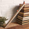 Weihnachtsmann Adventskalender 2024, 24 Tage Holz Treppen Weihnachts Countdown Kalender, Reisender Weihnachtsmann auf Leiter Weihnachtskalender, Countdown bis Weihnachten,