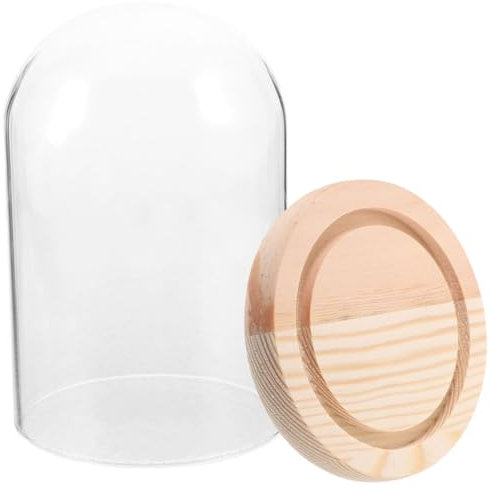 OKUMEYR Élégante Vitrine De Bureau en Verre avec Base pour Décoration