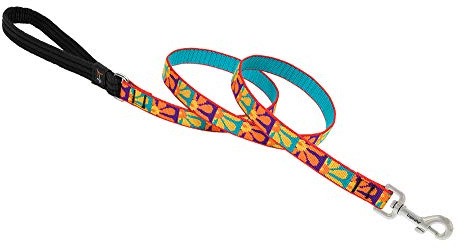 Lupine Crazy Daisy Patterned Padded Handle Dog Lead, 3/4-inch/ 6 ft
